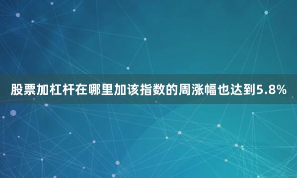 股票加杠杆在哪里加该指数的周涨幅也达到5.8%