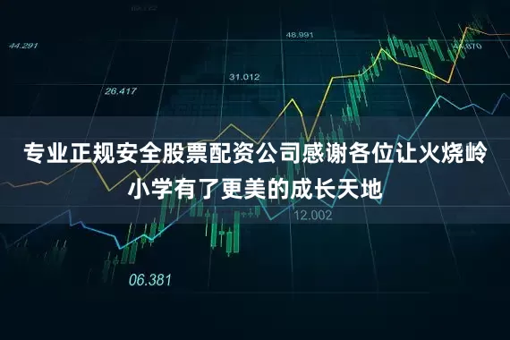 专业正规安全股票配资公司感谢各位让火烧岭小学有了更美的成长天地